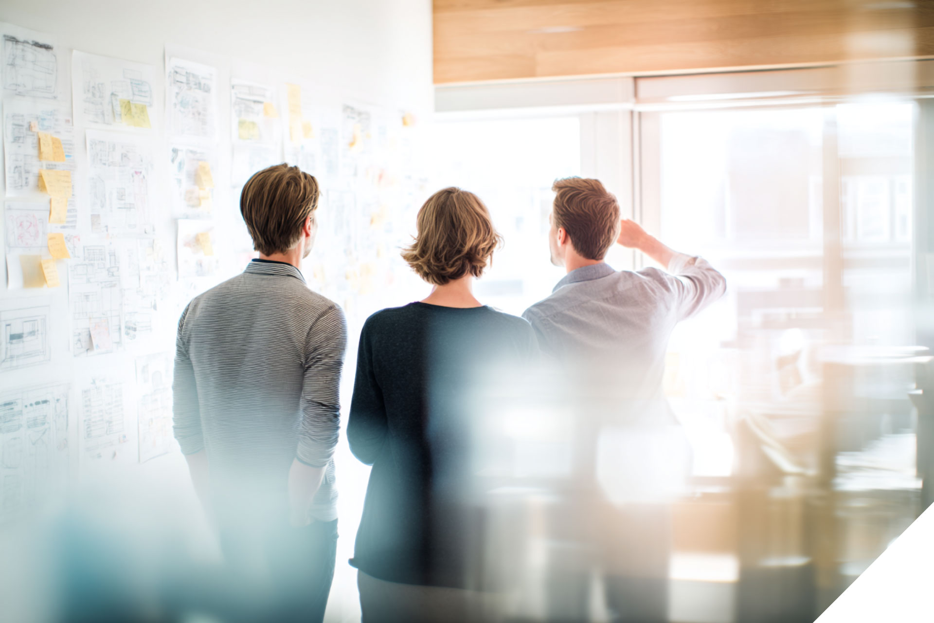 Digitale Weiterentwicklung mit Augenmaß: Die ANKÖ-Portale im Jahr 2025