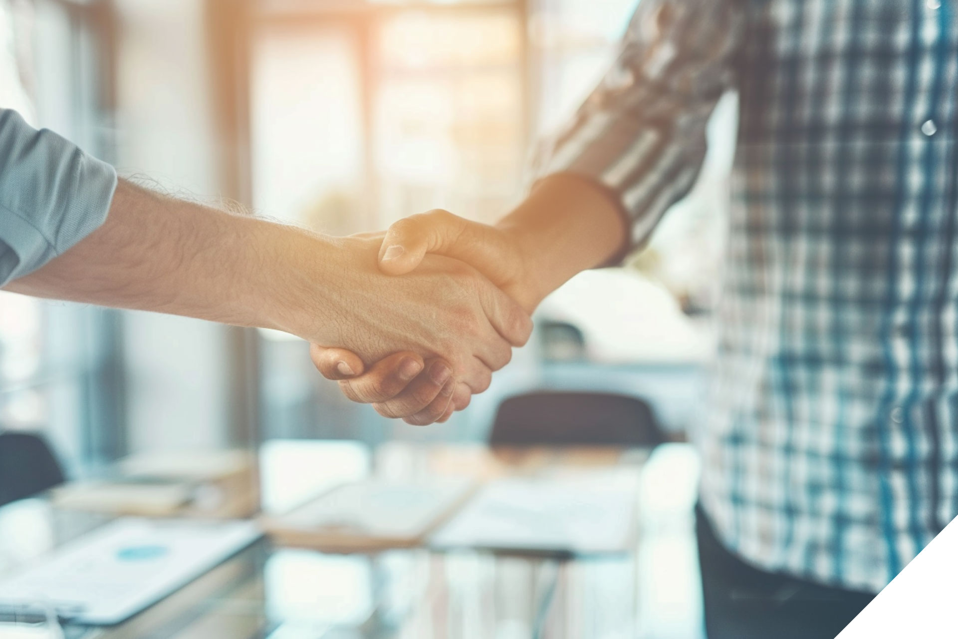 Nachträgliche Strafregisterbescheinigungen zulässig – VwGH stärkt praxisnahe Eignungsprüfung und die ANKÖ LgU®