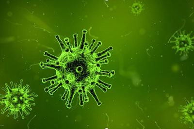 COVID-19 / Coronavirus: ANKÖ voll handlungsfähig